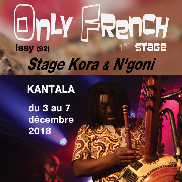 Stage Kora et N'goni